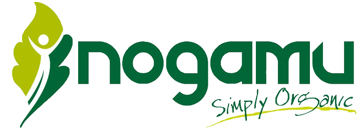 nogamu_logo2